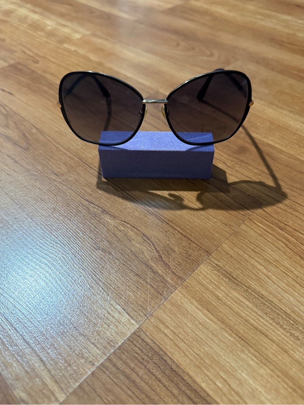 Tom Ford Black Frame Sunglasses with Gold Accents
